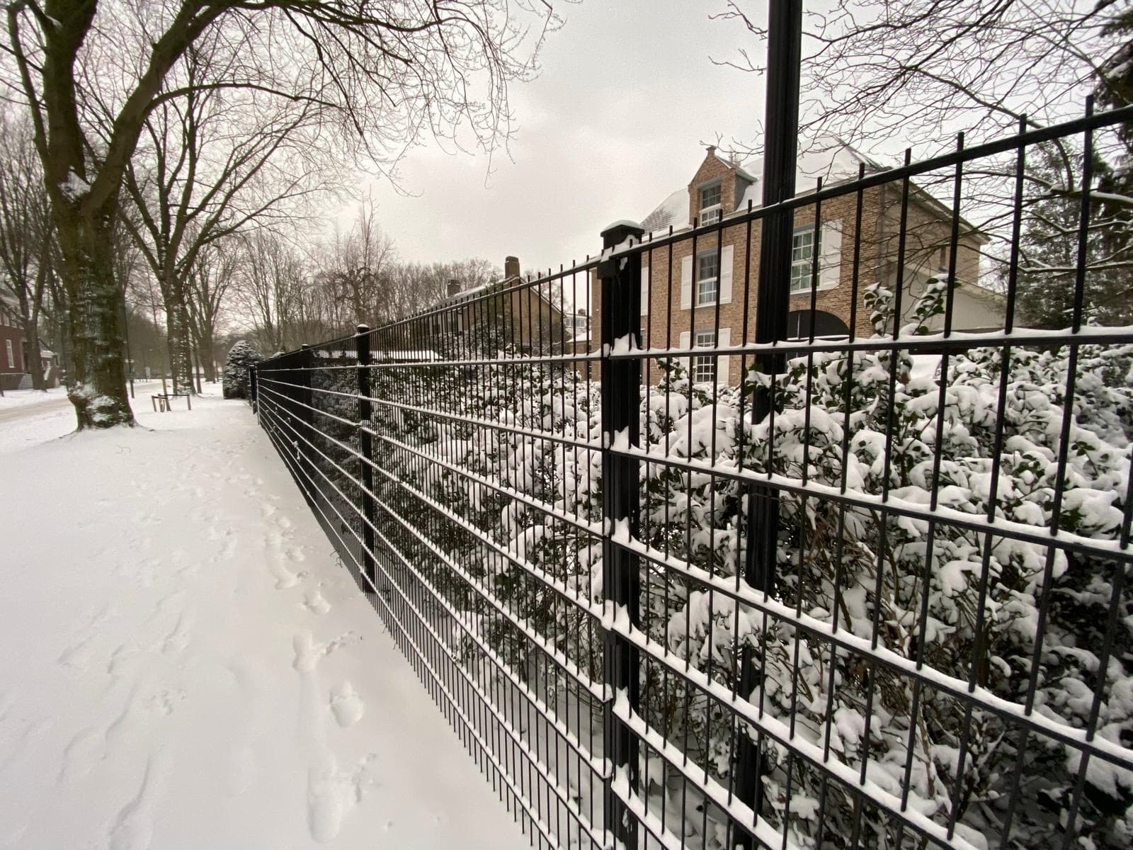 Perimeter & Security Fencing